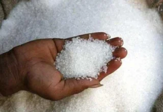 ECC Grants Conditional Approval for 100,000 Tonnes of Sugar Exports
