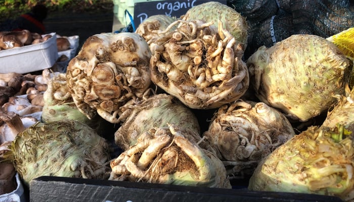 Record-Breaking 13-Pound Celeriac Crowned as World's Largest