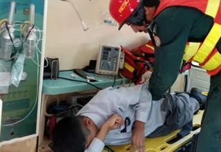 Honey Bee Swarm Stings Over 80 Schoolchildren in Rawalpindi