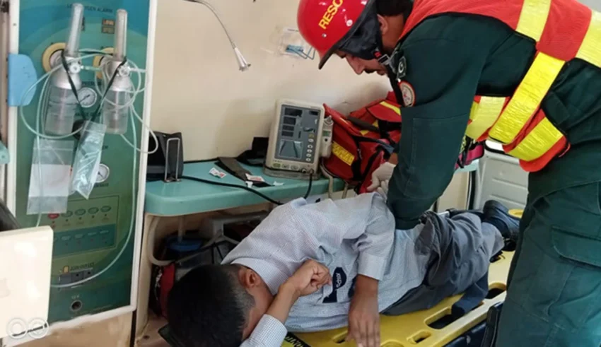 Honey Bee Swarm Stings Over 80 Schoolchildren in Rawalpindi