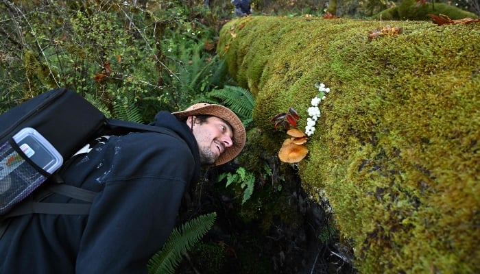Mushroom Hunters Uncover New Species in Quest for Discovery and Recognition