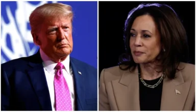 What Happens if Neither Harris Nor Trump Reaches 270 Electoral Votes?