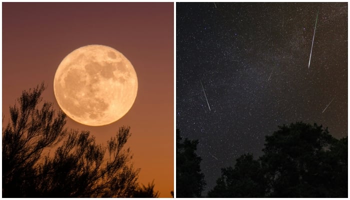 Last Supermoon of the Year and Fireballs to Illuminate the Night Sky This Week